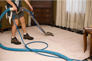 carpet cleaner img