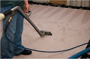carpet cleaning img