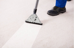 carpet tool